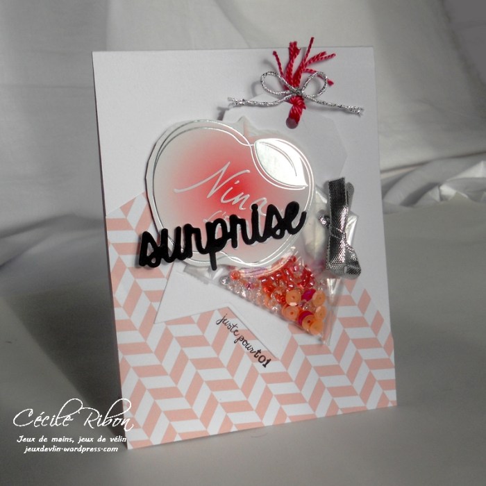 carte-maniak149-dscn9116