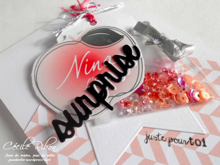 carte-maniak149-dscn9121