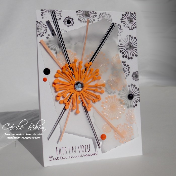 Carte Maniak150 - DSCN9533