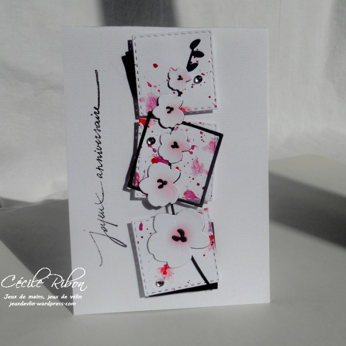 Carte NatBr - DSCN9487