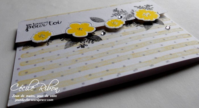 Carte PCC480 - DSCN9368