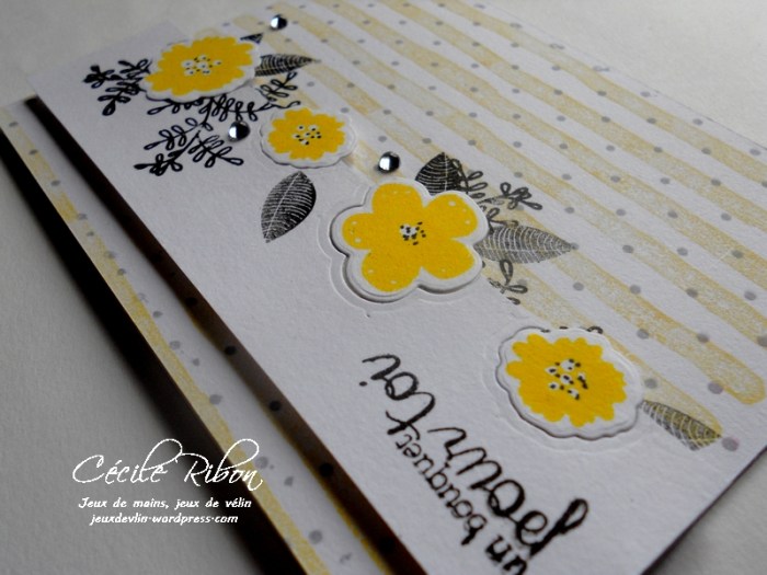 Carte PCC480 - DSCN9371