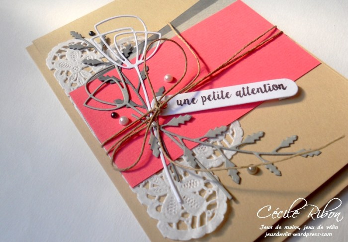 Carte AID11 - DSCN9621