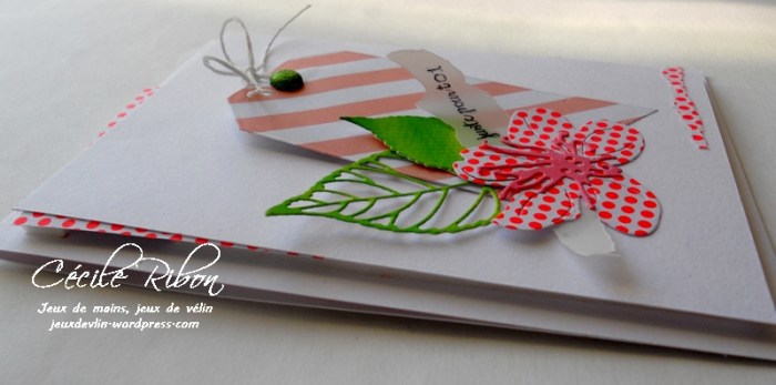 Carte AID12 - DSCN9846