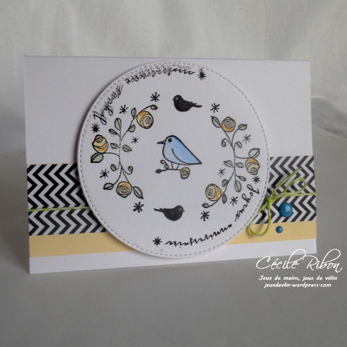 Carte CTD436 - DSCN9684