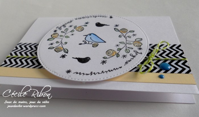 Carte CTD436 - DSCN9688