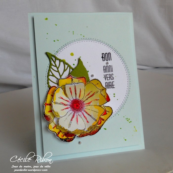 Carte CTD437 - DSCN9781