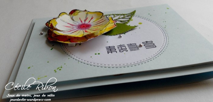 Carte CTD437 - DSCN9784