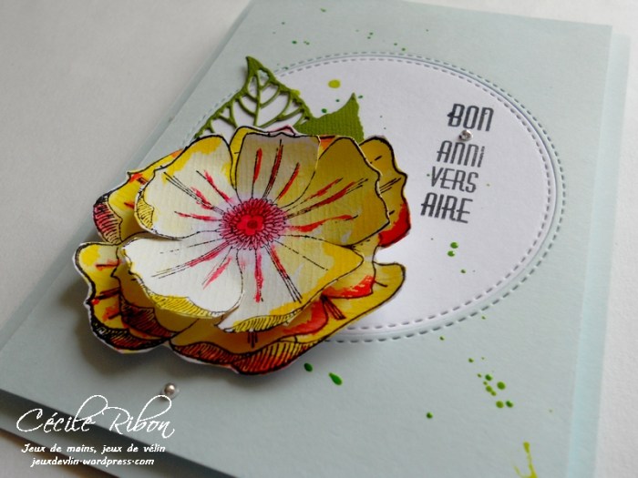 Carte CTD437 - DSCN9789