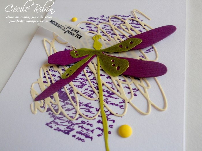 Carte CTD440 - DSCN0150