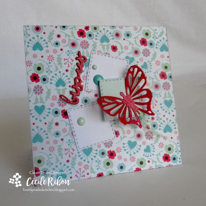 Carte FMS282 - DSCN9708