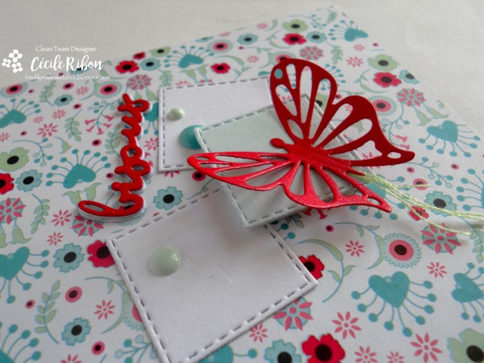 Carte FMS282 - DSCN9714