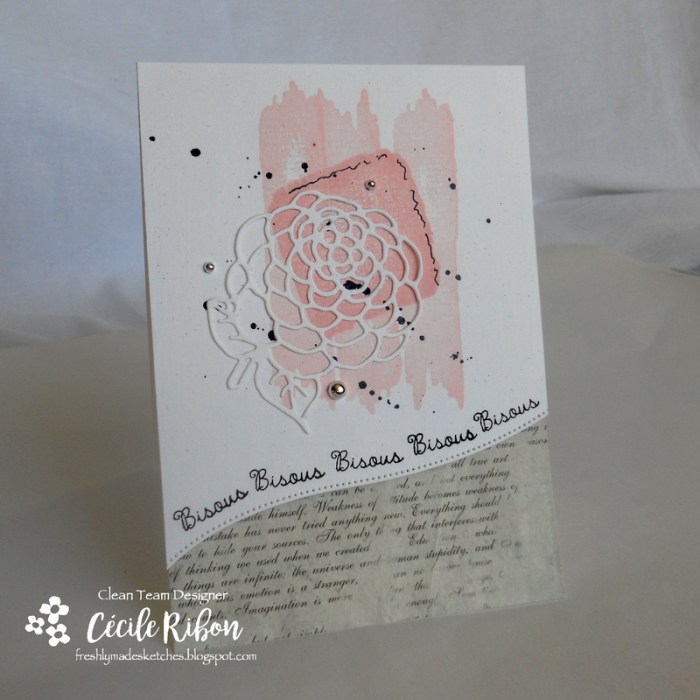 Carte FMS283 - DSCN9821