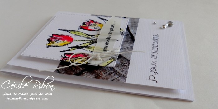 Carte Fusion14 - DSCN9768