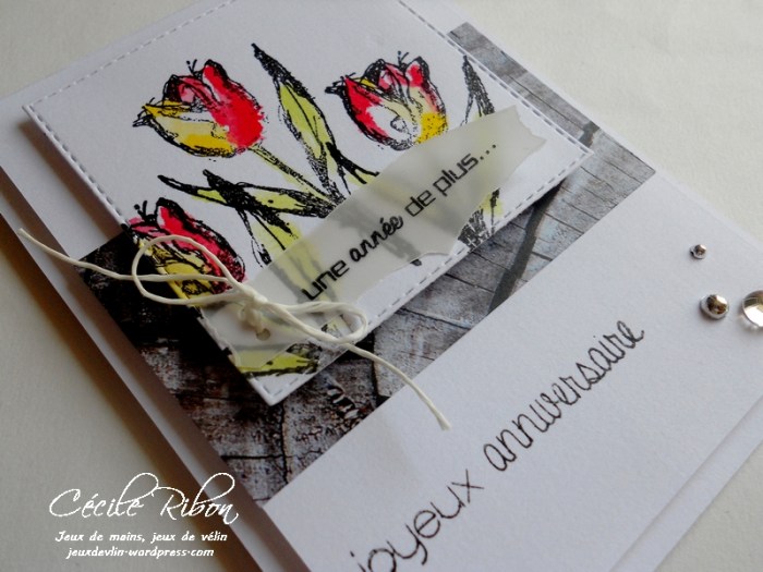 Carte Fusion14 - DSCN9774