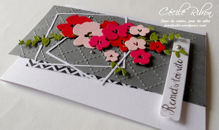 Carte Fusion15 - DSCN0040