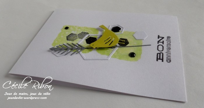 Carte PCC482 - DSCN9699