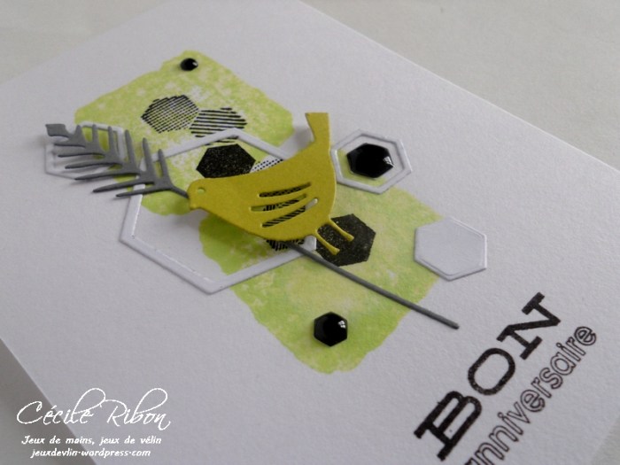 Carte PCC482 - DSCN9704