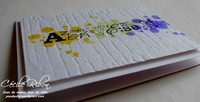 Carte PCC483 - DSCN9795