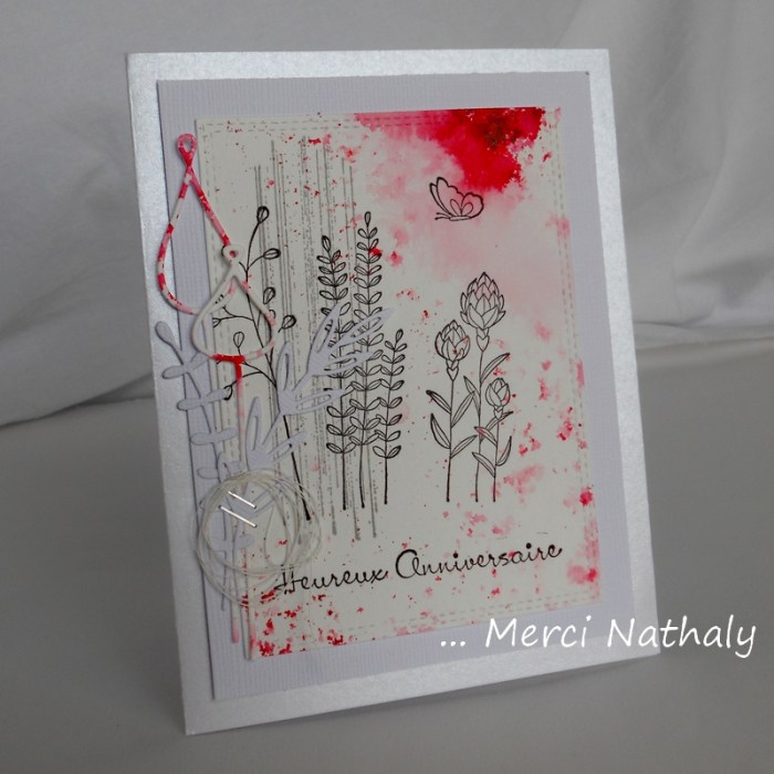 Carte XBd Nathaly - DSCN9986