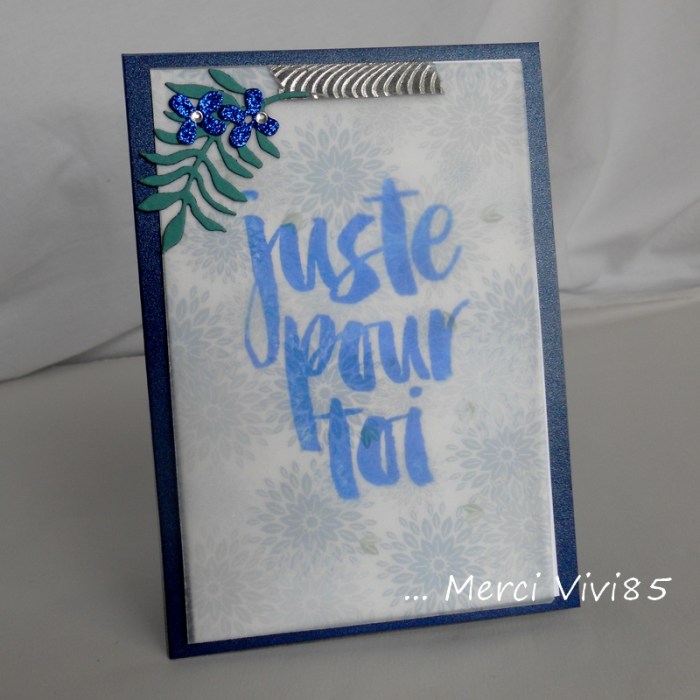 Carte XBd Vivi85 - DSCN9988