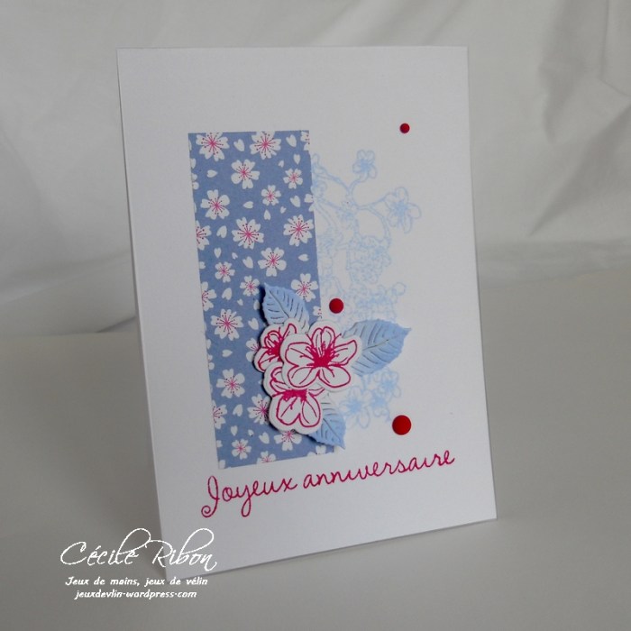 Carte Agnès - DSCN0343