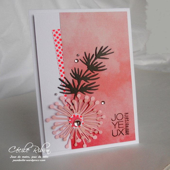 Carte Bertha - DSCN0361