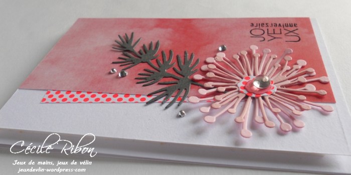 Carte Bertha - DSCN0367