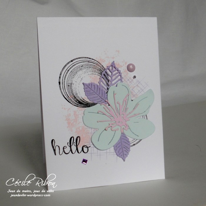 Carte CTD441 - DSCN0240