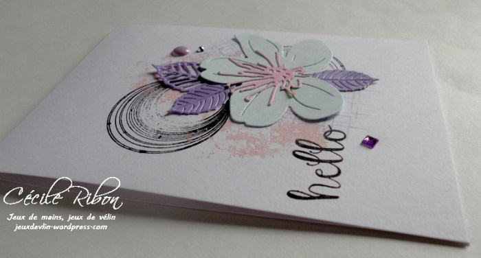 Carte CTD441 - DSCN0243