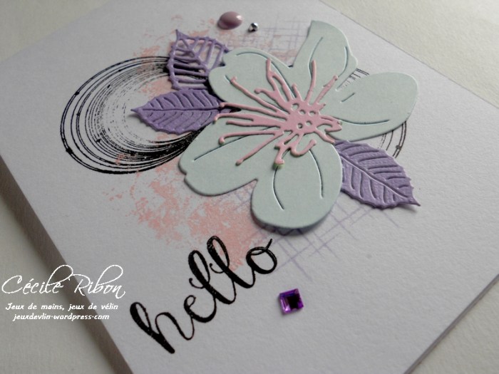 Carte CTD441 - DSCN0250