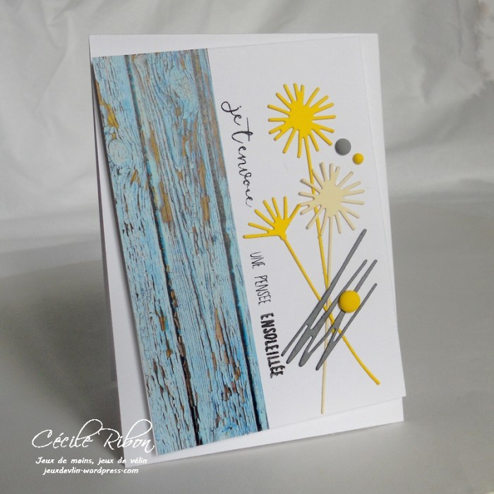 Carte CTD442 - DSCN0299