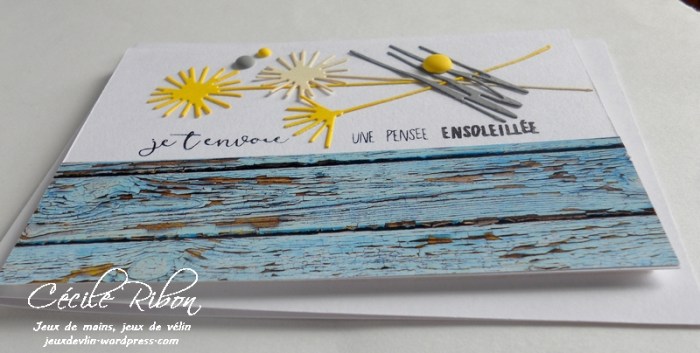 Carte CTD442 - DSCN0303