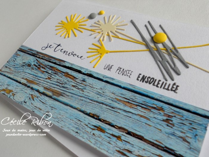 Carte CTD442 - DSCN0309