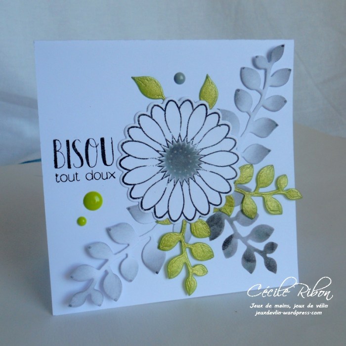 Carte CTD444 - DSCN0578