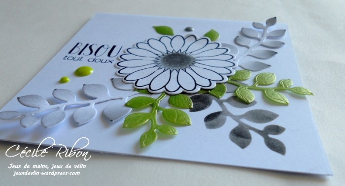 Carte CTD444 - DSCN0580