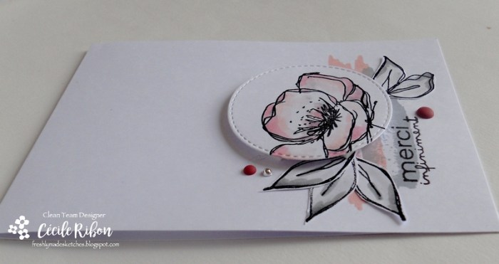 Carte FMS286 - DSCN0182