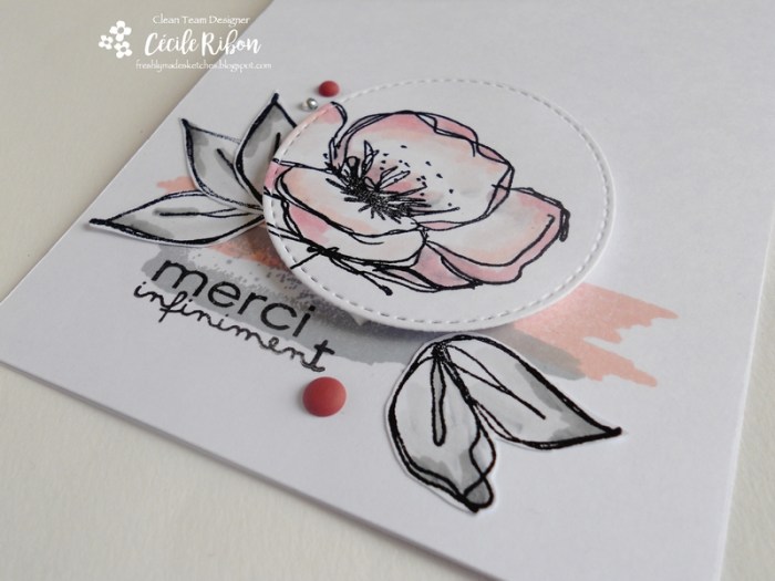 Carte FMS286 - DSCN0187