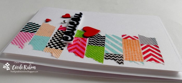 Carte FMS287 - DSCN0278