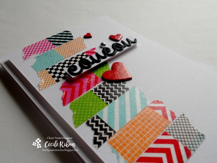 Carte FMS287 - DSCN0281