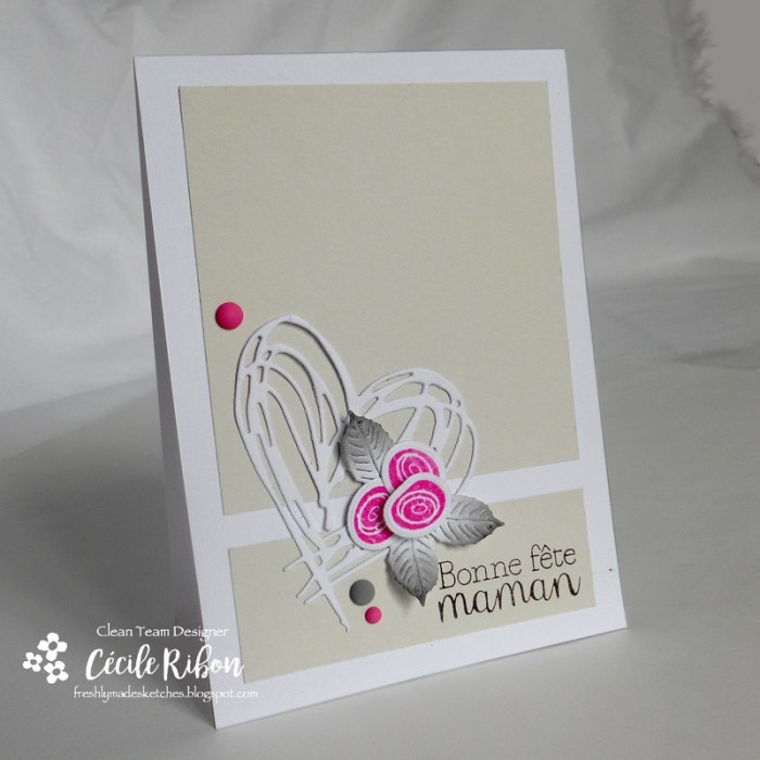 Carte FMS288 - DSCN0312