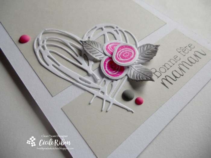 Carte FMS288 - DSCN0322