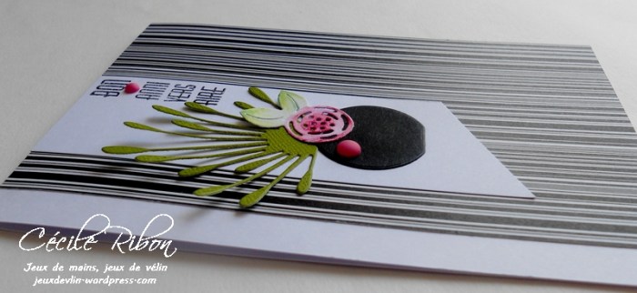 Carte Frédérique - DSCN0127