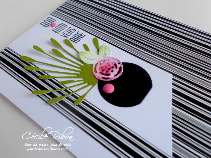 Carte Frédérique - DSCN0136