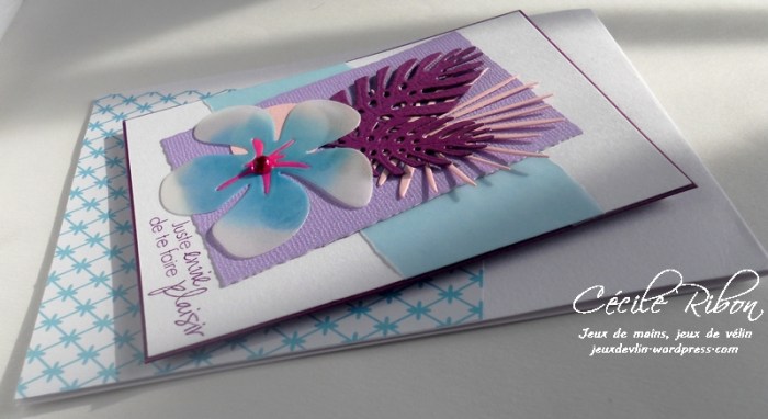 Carte LittleScrap10 - DSCN9970