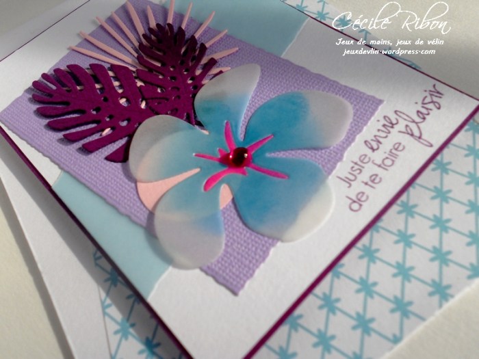 Carte LittleScrap10 - DSCN9973