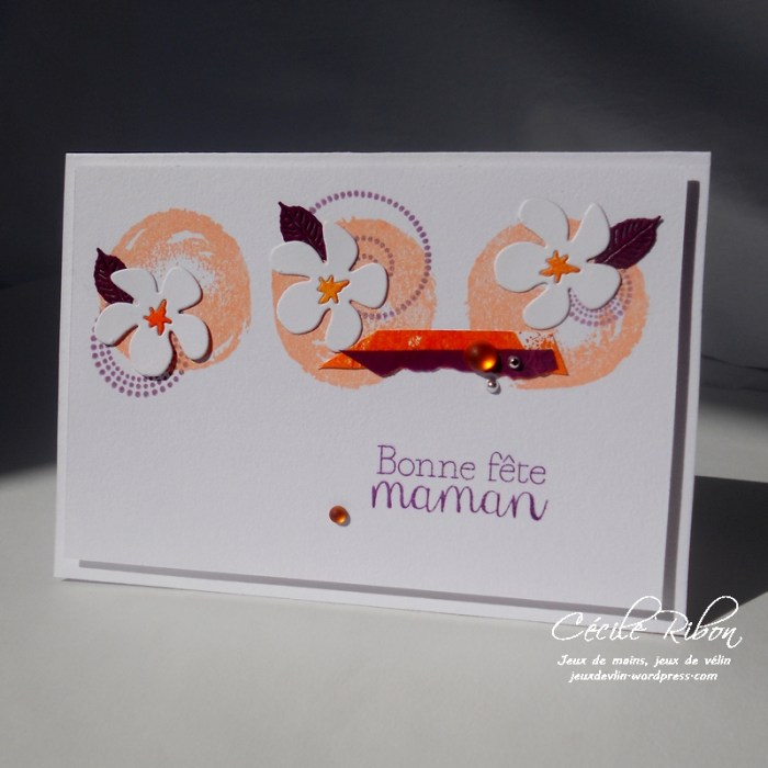 Carte LittleScrap9 - DSCN9884