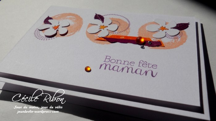 Carte LittleScrap9 - DSCN9890