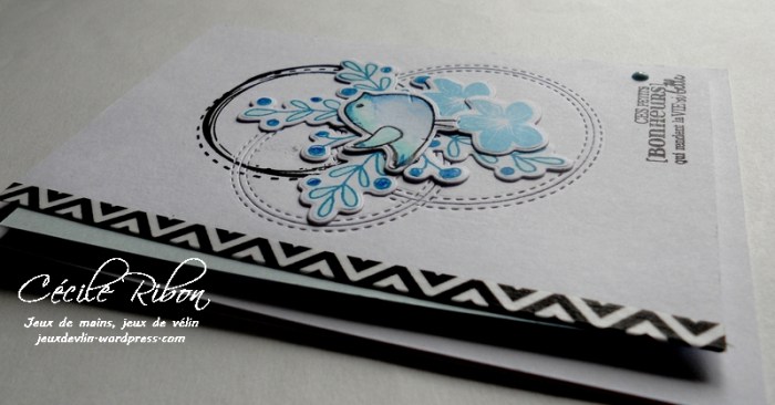 Carte PCC487 - DSCN0257