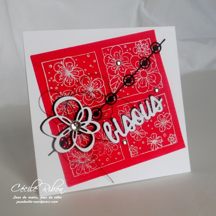 Carte PCC489 - DSCN0424